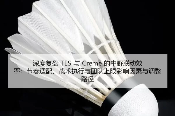 深度复盘 TES 与 Creme 的中野联动效率：节奏适配、战术执行与团队上限影响因素与调整路径