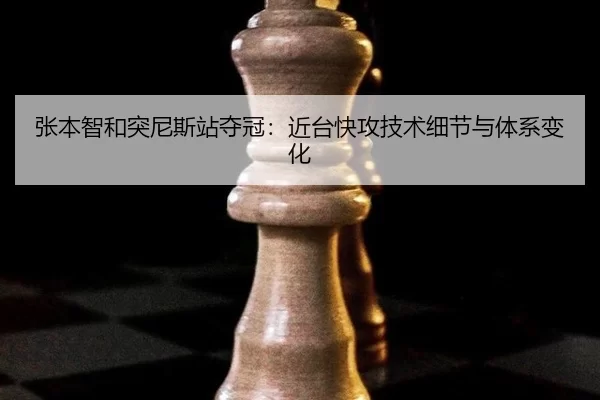 zhang-ben-zhi-he-tu-ni-si-zhan-duo-guan-jin-tai-kuai-gong-ji-shu-xi-jie-yu-ti-xi-bian-hua-2-931.jpg